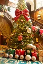 FB459_01.webp