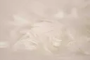 Feathers 2 BF-W.webp