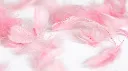BF-LP 2.webp