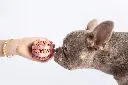 _MG_7110.webp