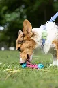 _MG_9083.webp