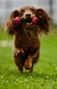 Dur 3.webp