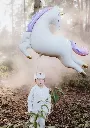 fb246.webp