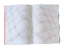 36738.webp