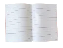 36739.webp