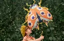 fb154.webp