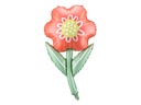 Red Flower - 38 inch