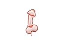 Penis - 44 inch