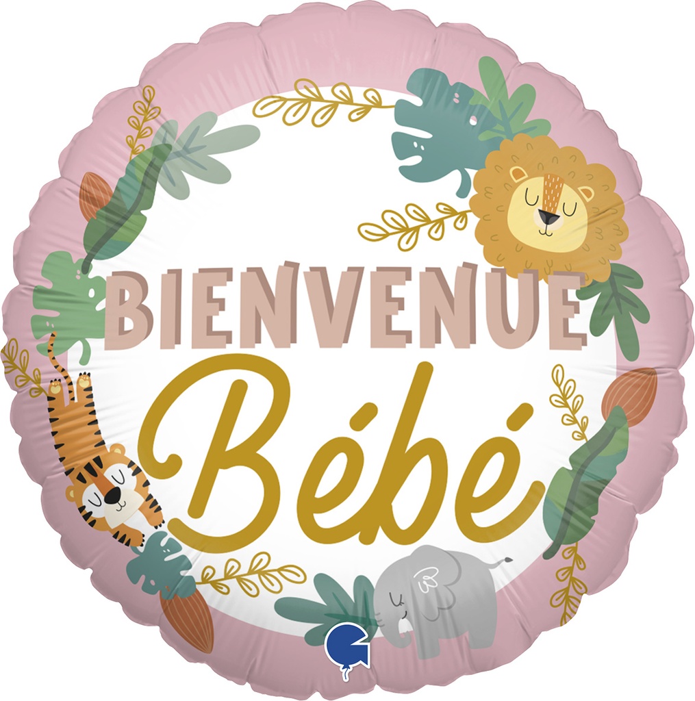 Bienvenue Bebe - Rose - 18 inch - Grabo