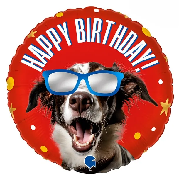 Happy Birthday - Cool Doggy - 18 inch - Grabo