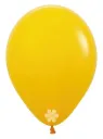 R12 - Honey Yellow - 021 - 50 Pcs