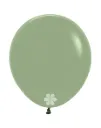 R18 - Eucalyptus - 027 - 25 St.