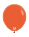 R18 - Orange - 061 - 25 Stuks