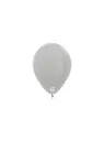 R5 - Pearl Silver - 481 - 50 St.