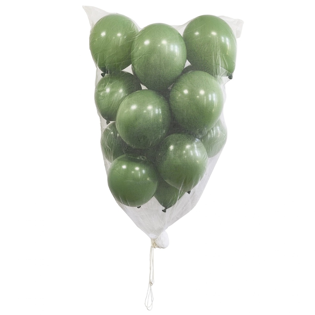 [RBTB001] Reusable Balloon Transport Bag