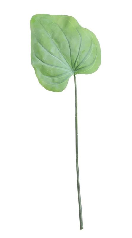 [SF8406] Hostas Leaves - 55cm - 12 Pcs