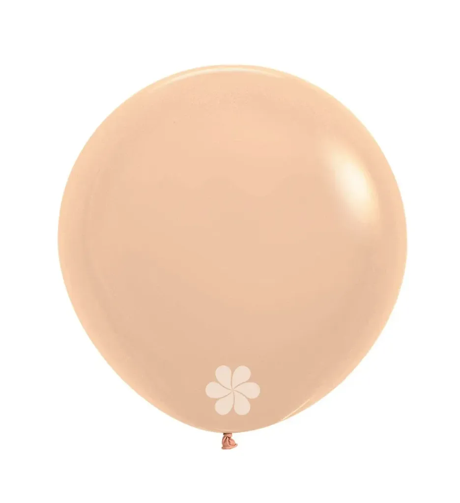[R24660S] R24 - Pastel Matte Malibu Peach - 660 - 10 Stuks