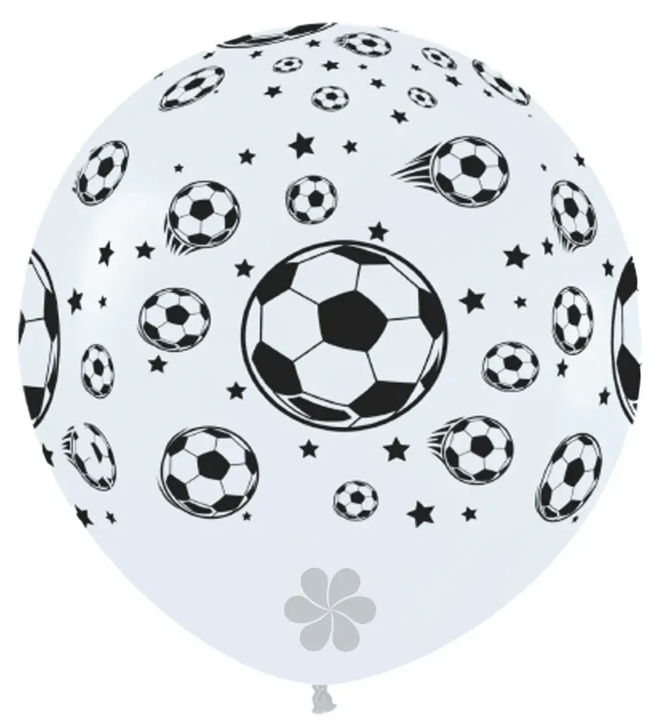 R36 - Soccer Balls - White - 005 - 2 Stuks
