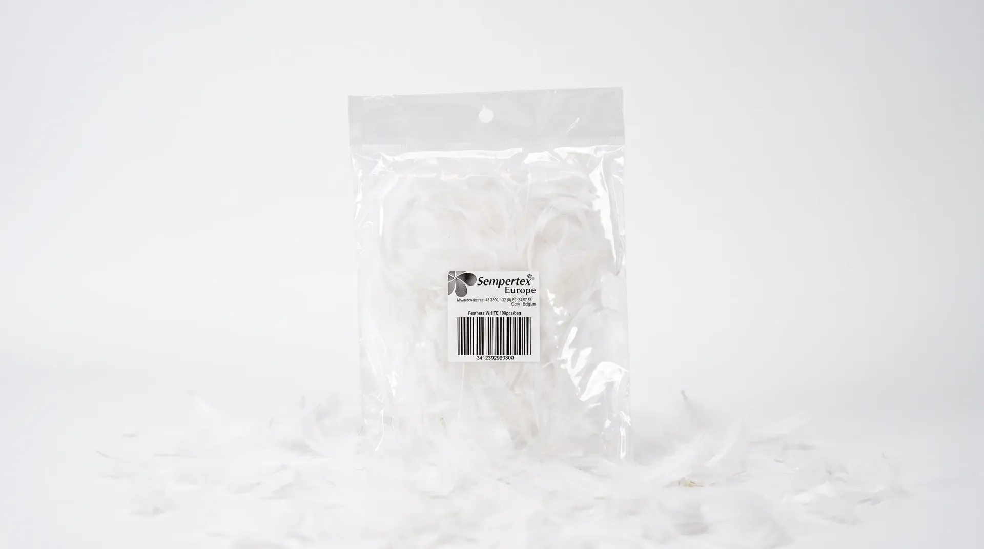 Feathers - White - 100 Pcs / Emballage